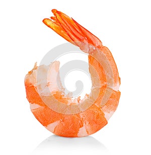 Tiger shrimp. Prawn isolated on a white background.