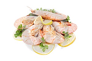 Tiger shrimps with lemon slice and parsley