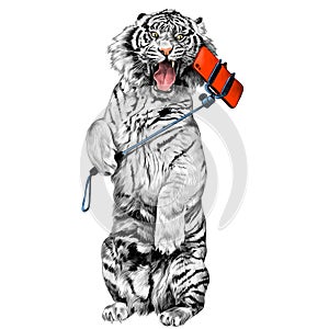 Tiger sketch vector graphics