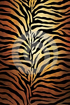 Tiger skin photo