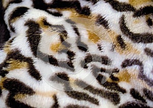 Tiger skin pattern conch design