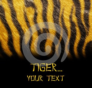 Tiger skin template img