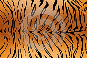 Tiger skin texture