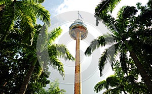 Tiger sky tower photo