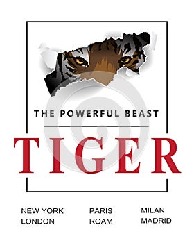 Tiger slogan vector
