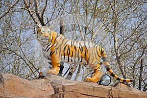 Tiger Statue in China