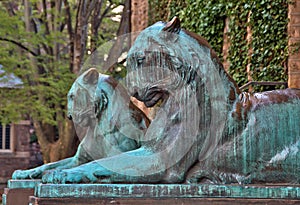 Tiger Statues at Princeton University