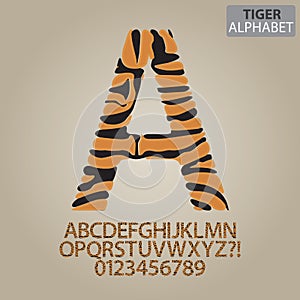 Tiger Stripe Alphabet and Numbers Vector