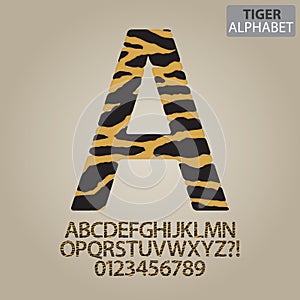 Tiger Stripe Alphabet and Numbers Vector