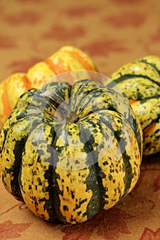 Tiger striped pumpkin