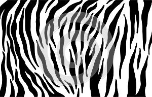 Tiger stripes pattern, animal skin texture, abstract ornament for clothing, fashion safari wallpaper, textile, natural