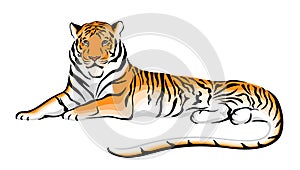 Tiger. Symbol of year 2022. Vector illustration.