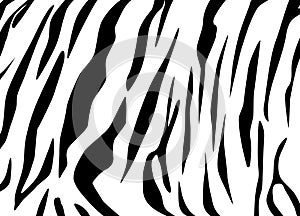 Tiger texture