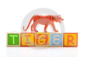 Tiger toy