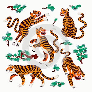 Tiger vector set, tigers in various poses and japanese pine branches in cartoon asian style. Organic flat style vector