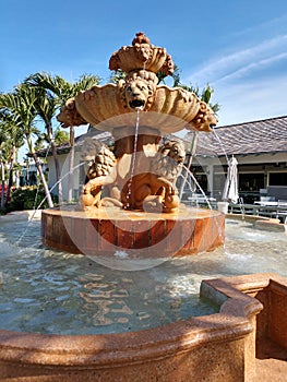 Tiger water fountain