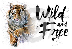 Tiger watercolor painting, animals predator, design of t-shirt, wild and free, print, hunter, king of jungle