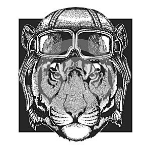 Tiger, wild cat wearing aviator hat. Print for children clothes, tee, t-shirt. Pilot wild animal