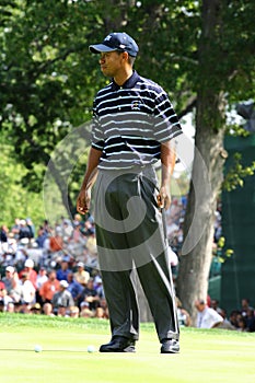 Tiger Woods