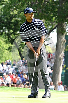 Tiger Woods 2004 Ryder Cup