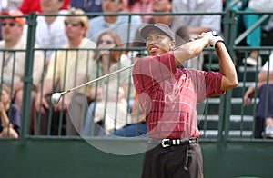 Tiger Woods