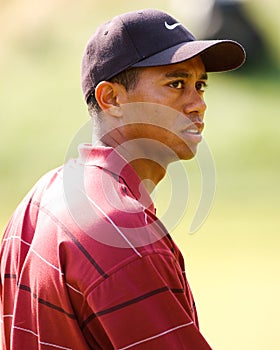 Tiger Woods