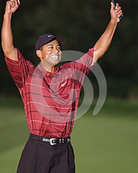 TIGER WOODS-US OPEN 2002