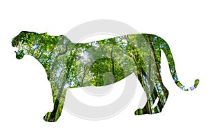 Tiger World Wildlife Day forest silhouette in the shape of a wild animal wildlife and forest conservation concept