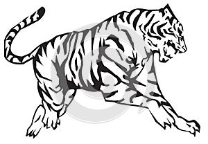 Tiger Zodiac