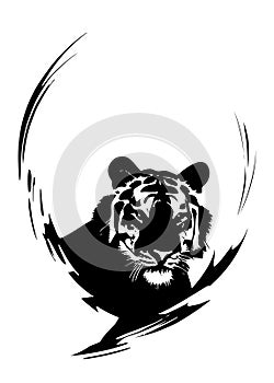 Tigers head sketch closeup. Also good for tattoo and logo. Editable vector monochrome image with high details isolated on white