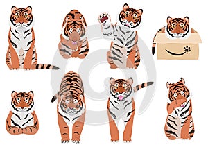 Tigers in various poses on white