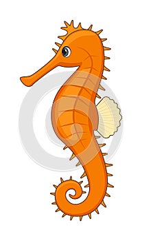 Tigertail seahorse fish on a white background photo