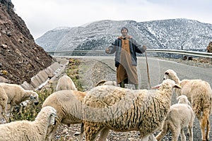 Berber shepherd with his flock in remote High Atlas mountain