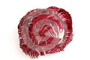 Tight head of radicchio