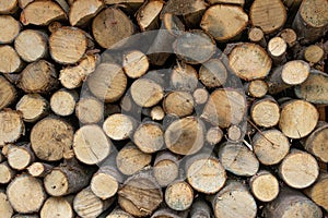 tight knit light colored wood pile background close up