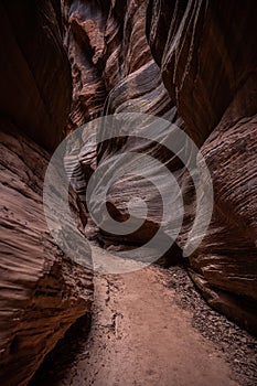 Tight Left Turn Eroded Into Smooth Stone Pathway Through Buckskin Gulch