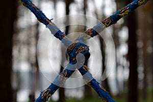 Tight rope knot close up on blurred forest background