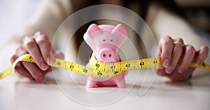 Tight Savings Piggy Bank Measurement