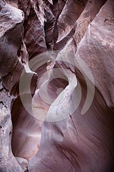 Tight Slot Canyon in Little Wildhorse Canyon