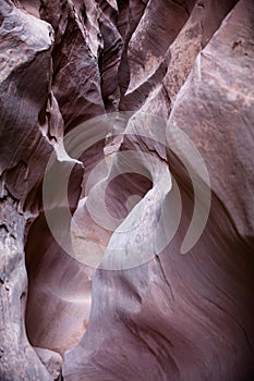 Tight Slot Canyon in Little Wildhorse Canyon photo
