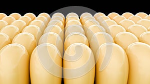 A tightly packed arrangement of kernels of corn