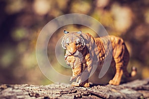 Tigress with cub in teeth. Tiger toy figurine in situation.