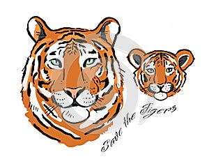 Tigress with cub. Tigers family for your design. Save the Tigers.