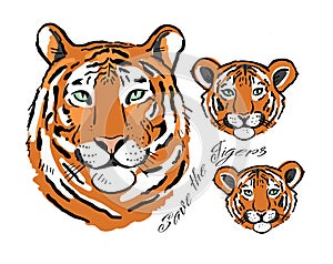 Tigress with cubs. Tigers family for your design. Save the Tigers.