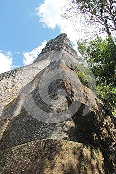 Tikal, Guatemala: Temple V, one of the major pyramids (57 metre