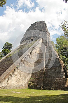 Tikal, Guatemala: Temple V, one of the major pyramids (57 metre