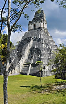 Tikal Maya Pyramid, Guatemala photo