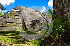 Tikal - Maya Ruins in the rainforest of Guatemala