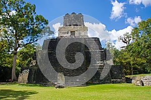 Tikal - Maya Ruins in the rainforest of Guatemala