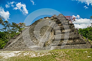 Tikal mayan ruins in guatemala